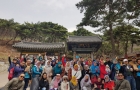 Paket Hemat Tours Korea Selatan Saat Musim Cherry Blossom