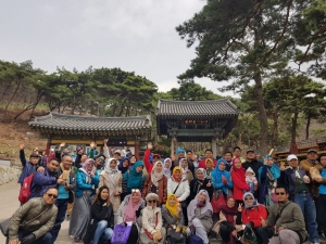 Paket Hemat Tour Korea Di Musim Cherry Blossom