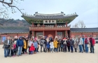 Paket Promo Tours Korea Saat Musim Summer