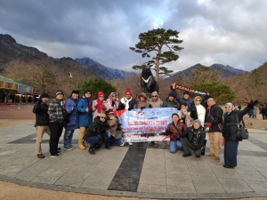 Paket Murah Tours Korea Selatan Di Musim Semi