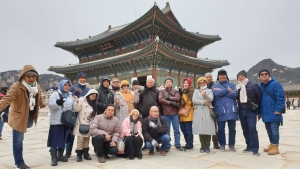 Paket Murah Tours Korea Saat Musim Blossom